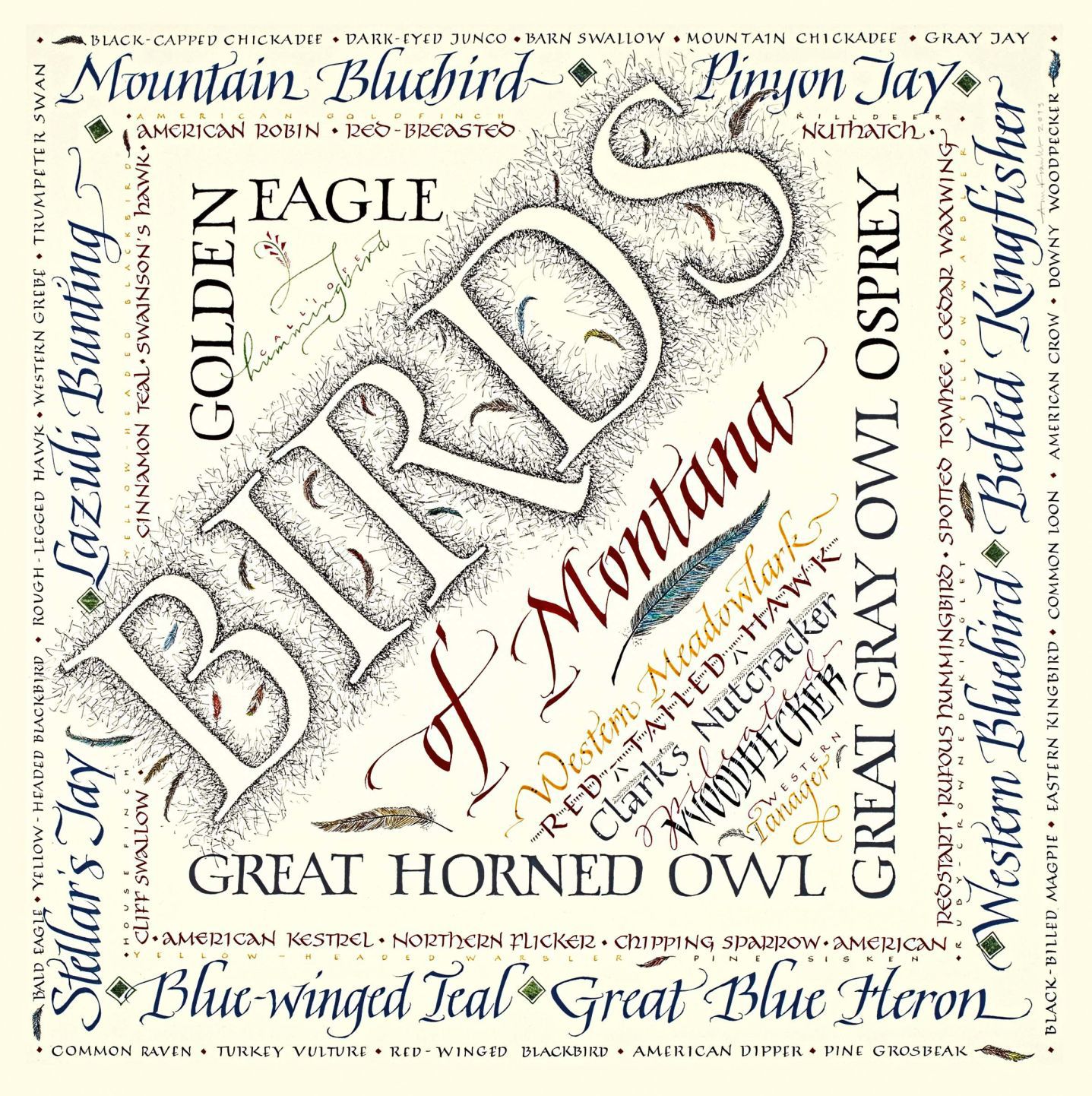 Ann Franke Birds of Montana
